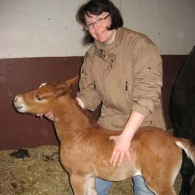 Tieraerztin Marion Wickert während der Behandlung eines Fohlens